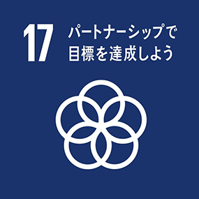 17. パートナーシップで目標を達成しよう